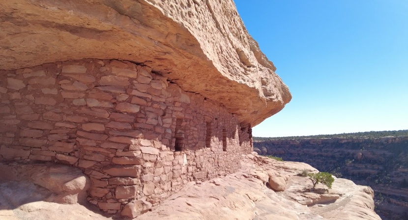 iphone gimbal - we found that the dji om 5 stays exceptionally stable, even while...