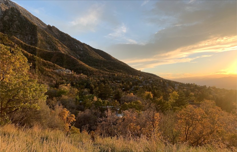 this standard photo was taken with the dji om5.