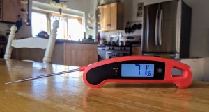 Javelin Pro Duo Review: A Digital Meat Thermometer 