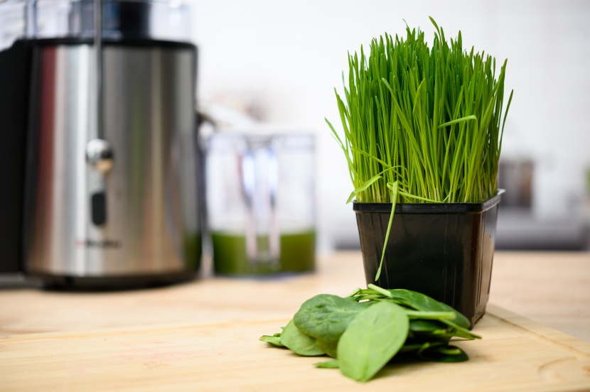 mueller ultra-juicer - if you are looking for a juicer primarily for leafy greens, this one...