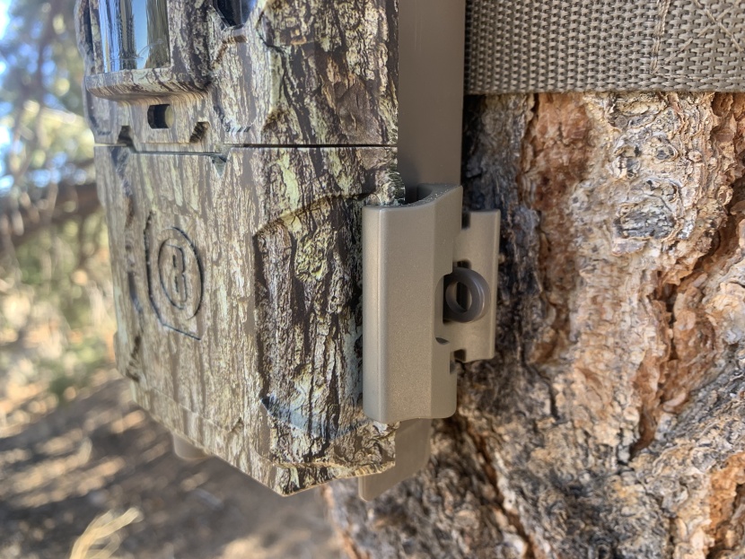 this model has a lock loop on the clasp for added security.