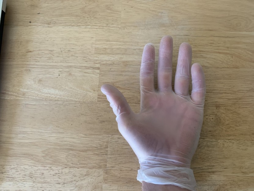 disposable gloves - the gloveplus vinyl gloves are super thin and slide on easily.