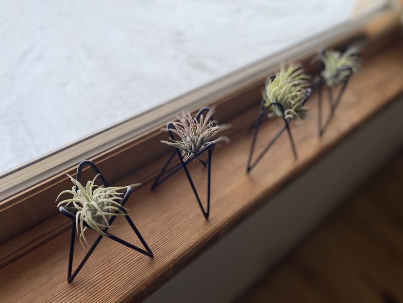planter - these little stands have a simultaneously modern and classic look to...