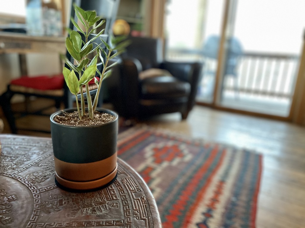 D'vine Dev  Planter Pot with Stand, Mid-Century Tall Plant Pot