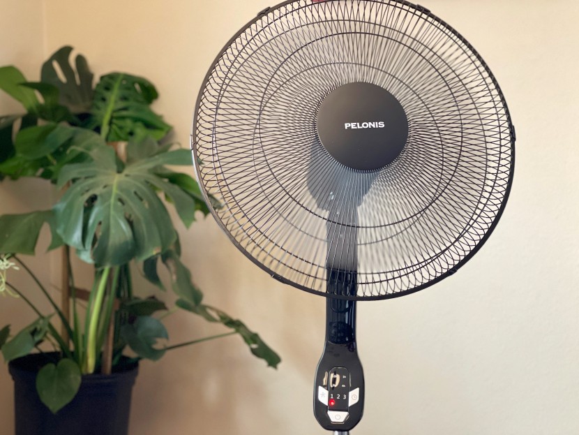 fan - one of the tallest fans we tested, this pelonis model also offers...