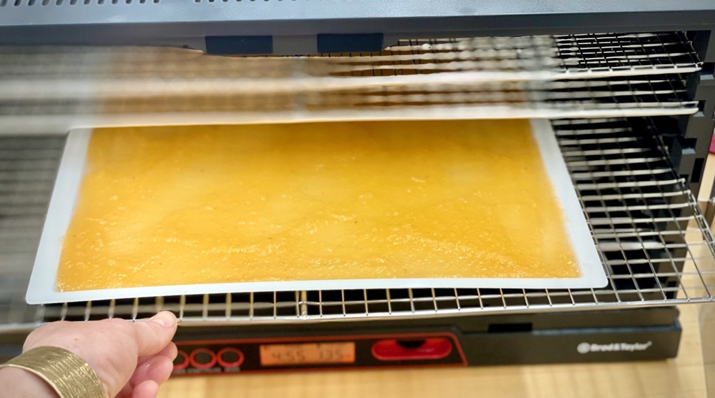  Brod & Taylor SAHARA Folding Food Dehydrator (Non-Stick  Polypropylene Shelves): Home & Kitchen
