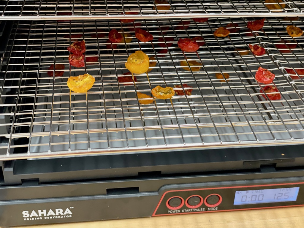 Choosing a dehydrator to prep for adventures – Thruhikers: Renee and Tim