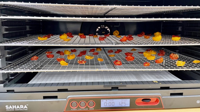 food dehydrator - the brod &amp;amp; taylor sahara folding showed fantastic results during...