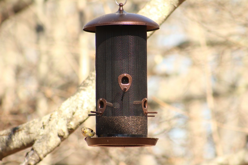bird feeder - with a large capacity, six ports and perches, a divider that allows...