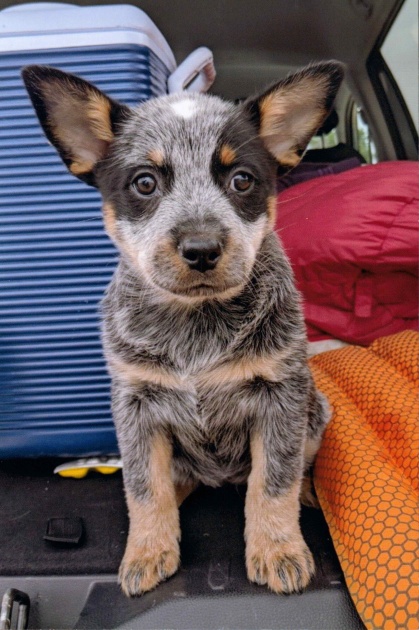 these photos did not come out as vibrant as we would have liked.