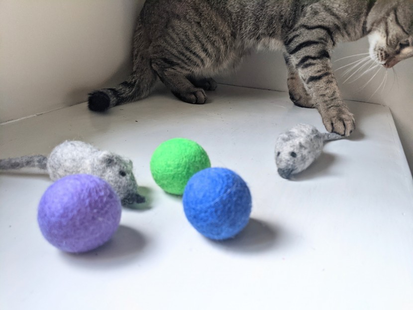 cat toys - the mouse tails seemed to catch our cat&#039;s fancy. she really loved...