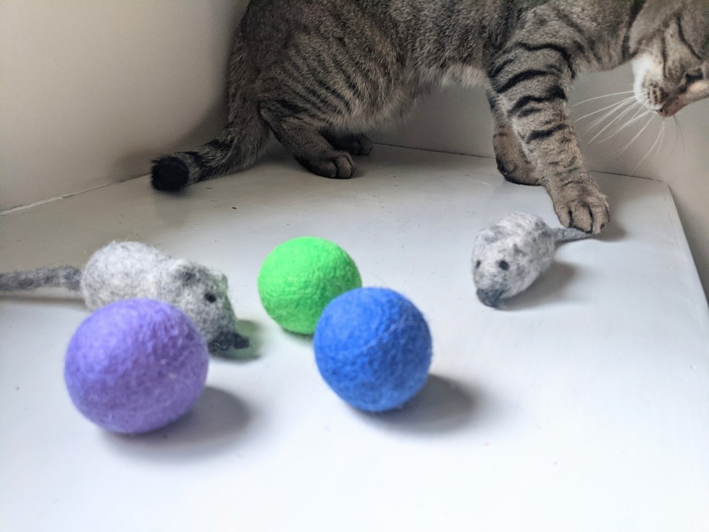 Interactive Fish Toy Review  We Cat-Test Potaroma's Flopping Sensation