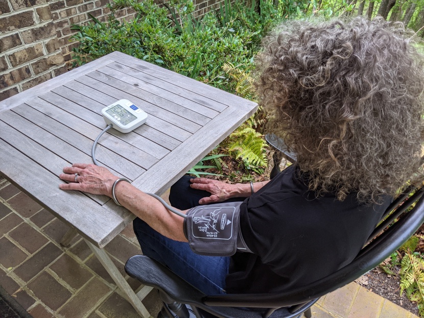 alc&eacute;do upper arm monitor - the alcedo&#039;s accuracy and low price tag make it a stellar value.