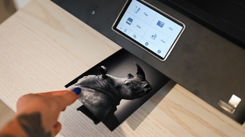 canon pixma tr8620 - this printer produces a wide greyscale range with both true blacks...