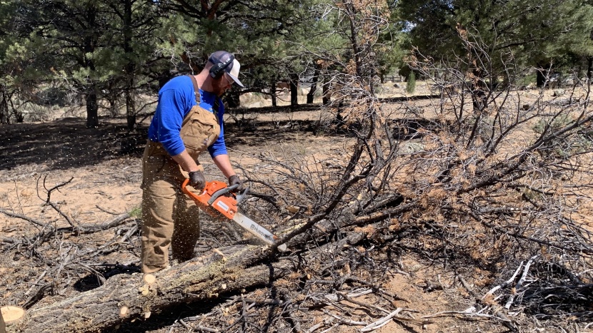 husqvarna 450r - tons of power coupled with a long bar makes the husqvarna 450r a...