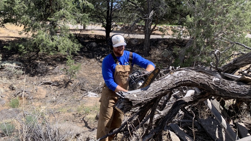 poulan pro pr4218 - this model handles larger logs reasonably well.