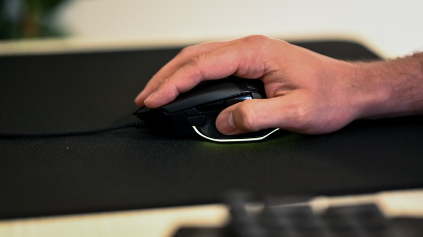 this mouse is great for all gripping types, but we found the palm...