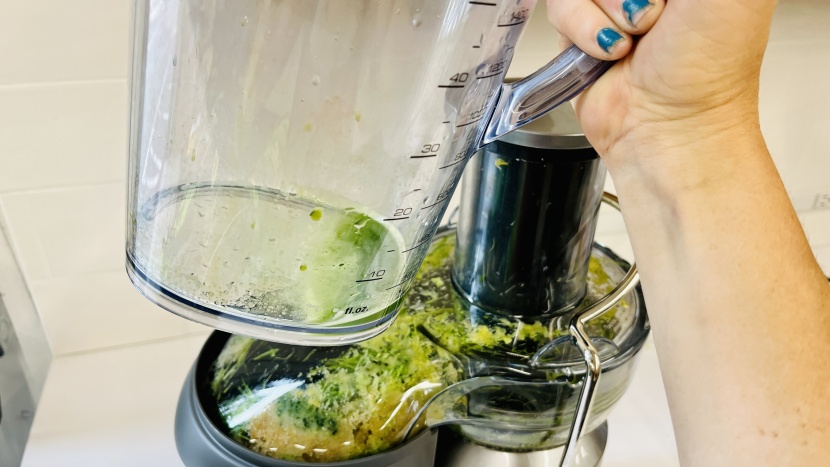 breville the juice fountain cold - while the breville didn't do so bad in the leafy greens metric for a...