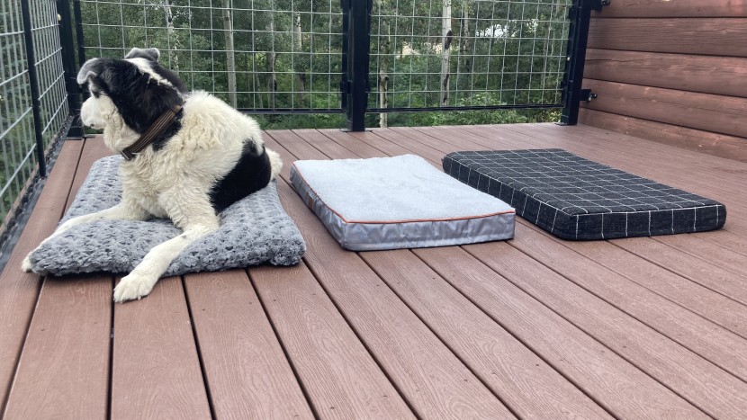 ophi loves the soft fluffy exterior of the midwest homes deluxe...