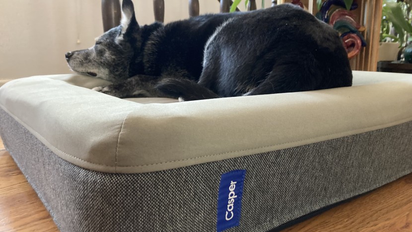 dog bed - mumi, a 30-pound expert cuddler, typically enjoys the security of...