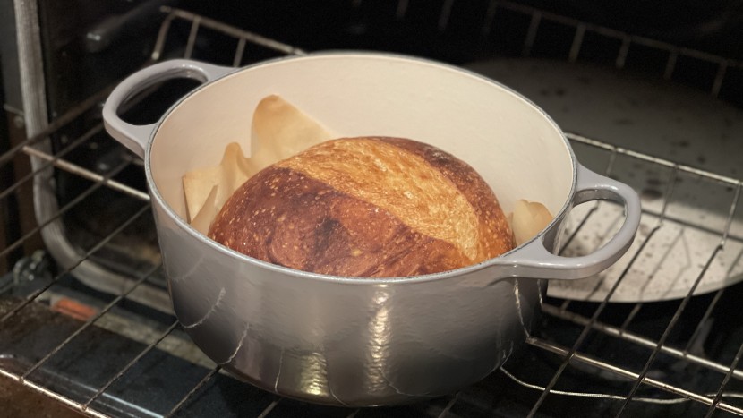 baking identical loaves of bread in identical conditions.