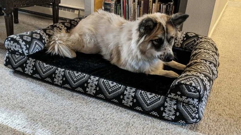 dog bed - the furhaven offers three bolsters with a crevice-free seam between...