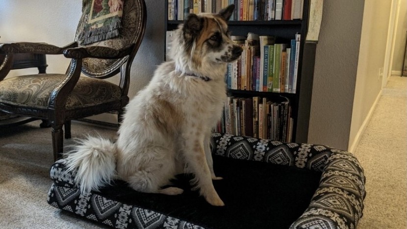 dog bed - we found even the large furhaven is light enough to move up and down...