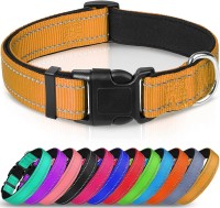 dog collar