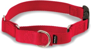 dog collar
