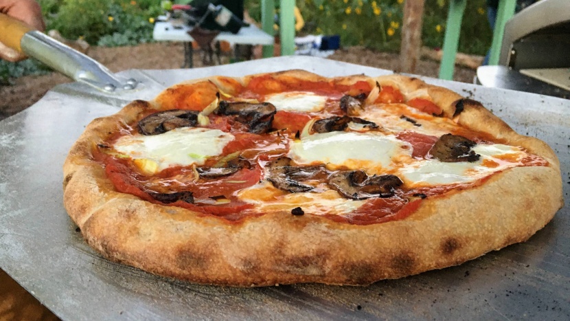 camp chef italia artisan - why is everyone fussing over neapolitan pizzas? sometimes we want a...