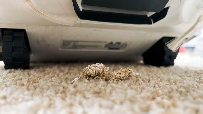 narwal t10 - our cereal on high pile carpeting test.