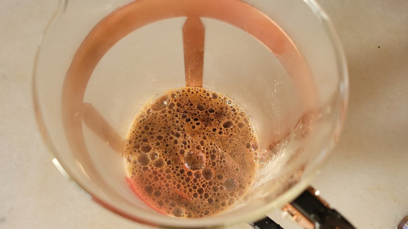french press - watching ground coffee bloom in the bodum chambord