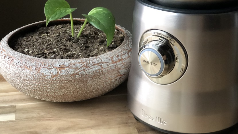 milk frother - this one-button interface does it all with power controls and...