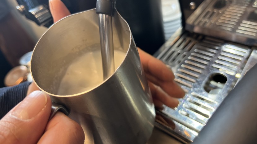 professional baristas texturize milk with the steam wand on their...