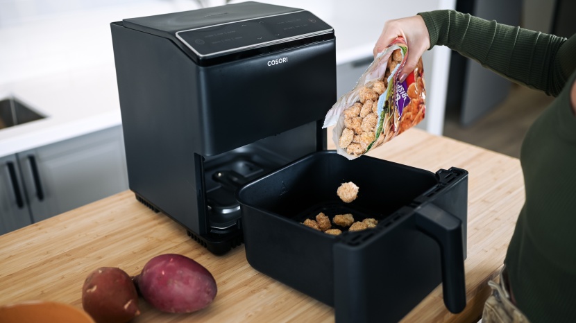 cosori dual blaze - we enjoyed the tater tots produced by the dual blaze.