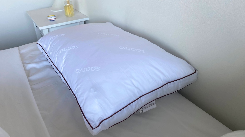 The 6 Best Pillow for Side Sleepers of 2023 Tested by GearLab