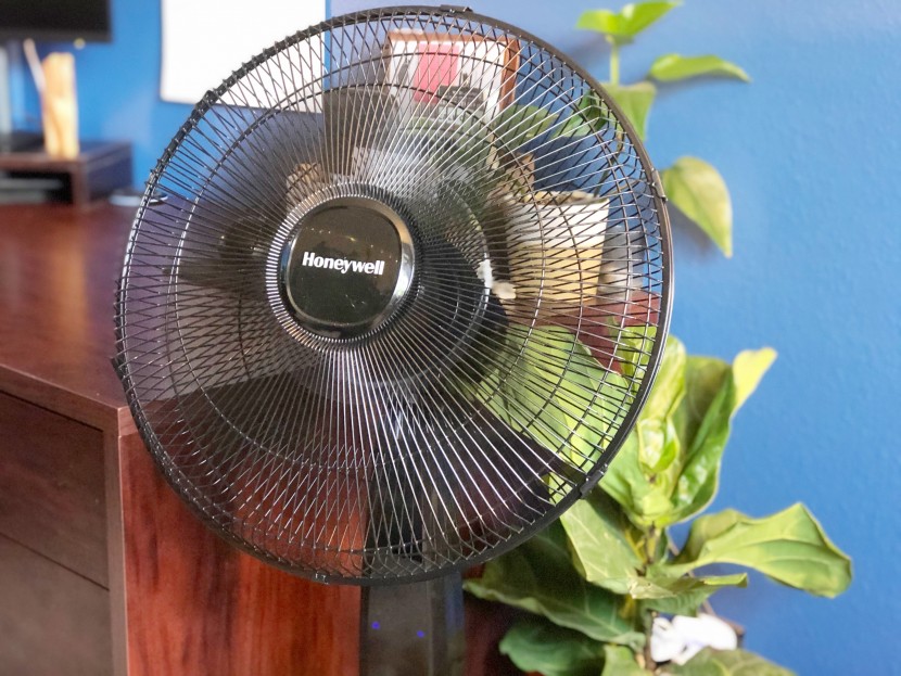 pedestal fans have the classic look, though many have been updated...