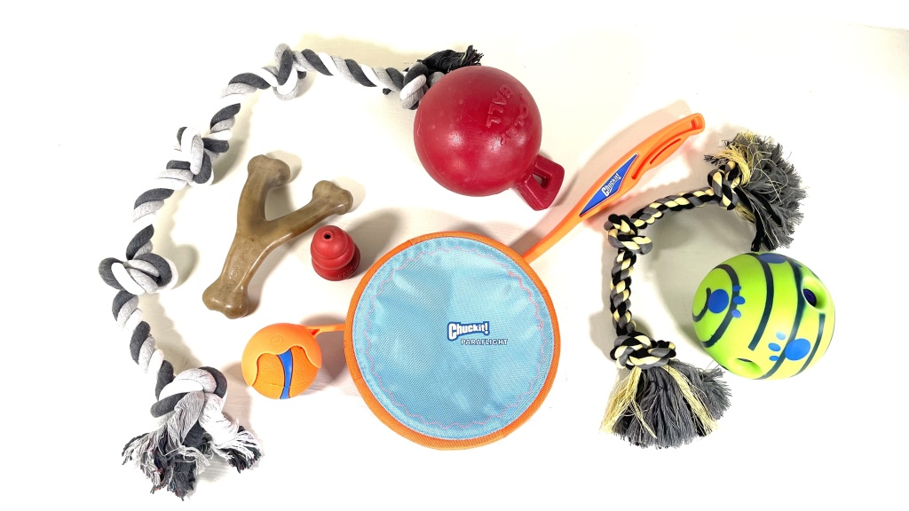 6 Best Dog Toys For Huskies [2023 Reviews]: Fun For Floofs!