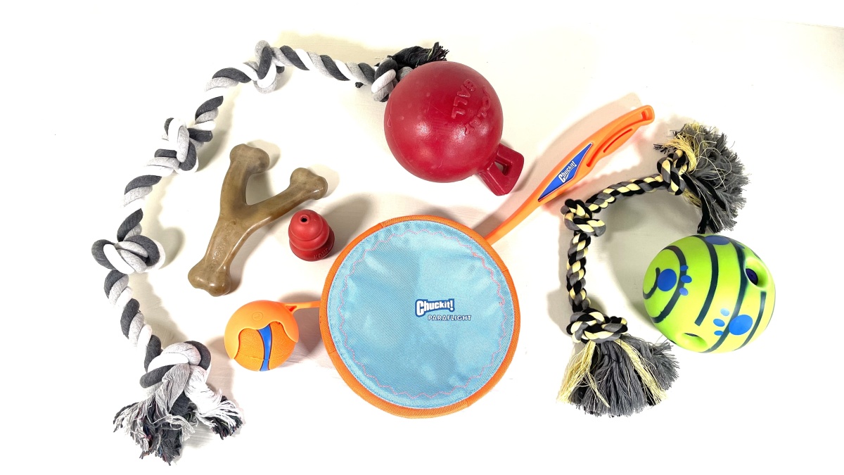 10 Best Dog Toys for Boredom (Our 2019 Tests and Reviews)
