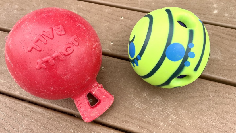 dog toy - the jolly ball won&#039;t be long for this world if your dog is a chewer...