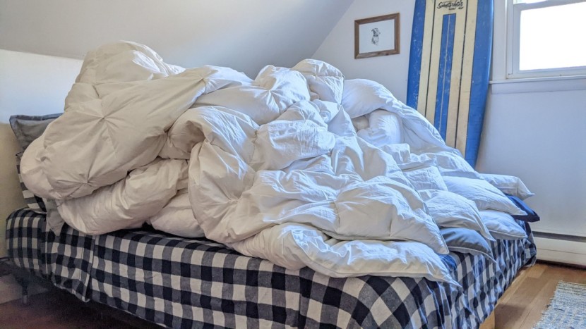 comforter - all of these comforters live up to their name, but which one&#039;s the...