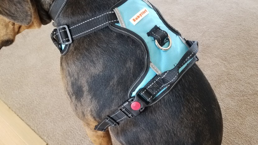 the minimalist design of the babyltrl oxford no pull harness doesn't...