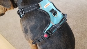 Reflective Removable Patches for Dog Harness 1 Pair Reflective