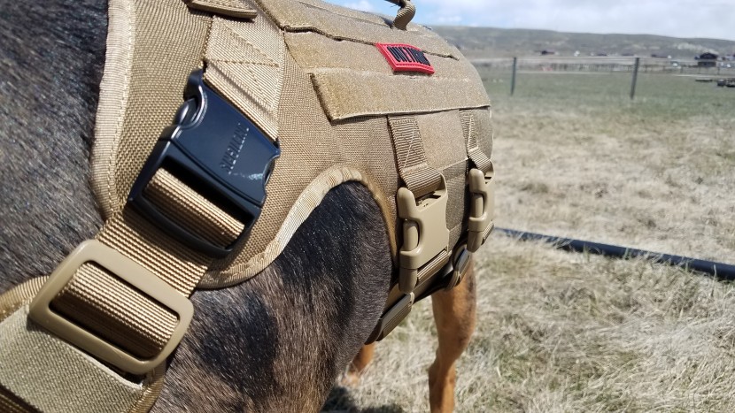 dog harness - large buckles where the neck meets the shoulder on the onetigris...