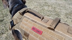 dog harness