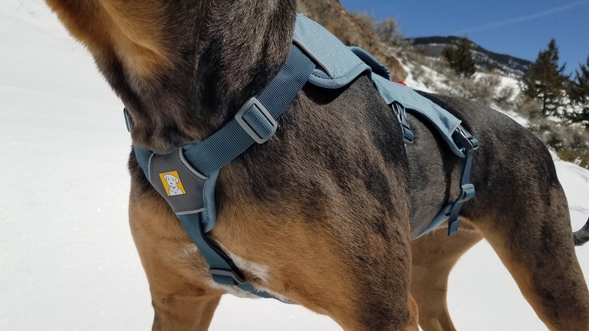 dog harness - the ruffwear web master offers a nice fit, but could be better padded.