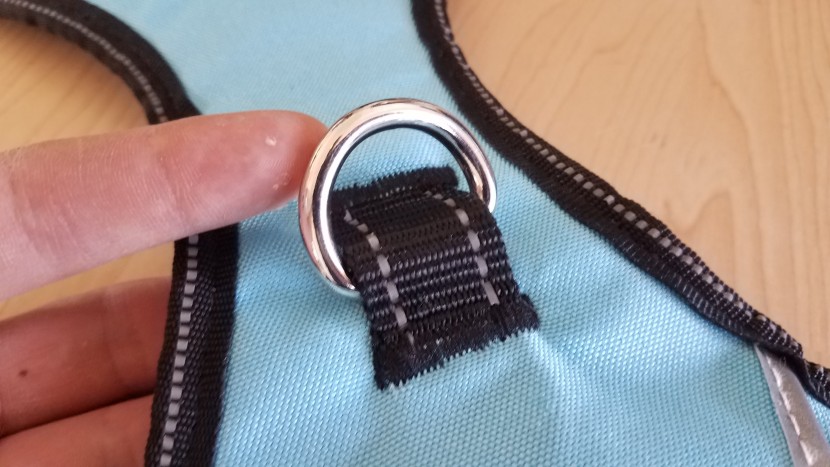 a standard sized leash clip in point on the babyltrl oxford harness.