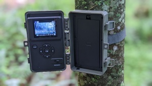 trail camera