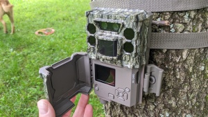 trail camera
