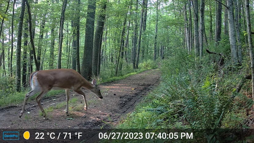 this a3s is one of the best in the test at stopping motion.